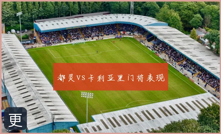 都灵vs卡利亚里门将表现